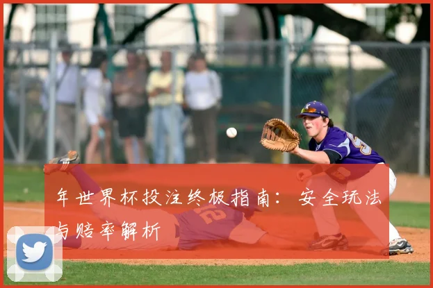 年世界杯投注终极指南：安全玩法与赔率解析