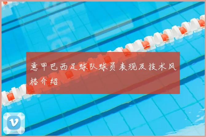 意甲巴西足球队球员表现及技术风格介绍