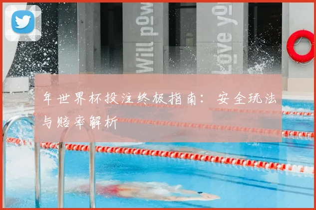 年世界杯投注终极指南：安全玩法与赔率解析