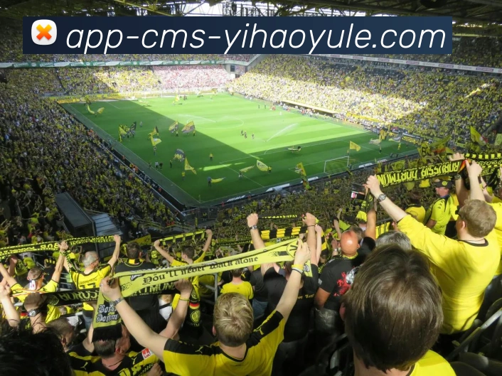 辅助工具 辅助工具